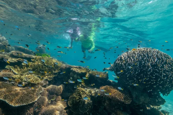 Things to do in Port Douglas