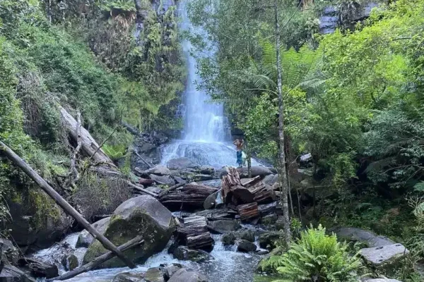 Visit the Erskine Falls