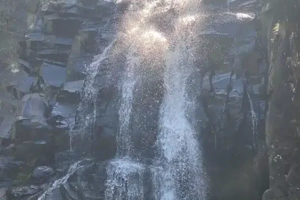 Visit the tranquil Sheoak Falls