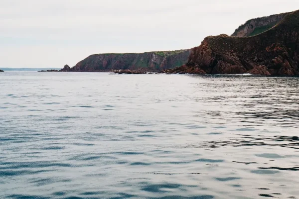 Wildlife Coast Cruises Phillip Island