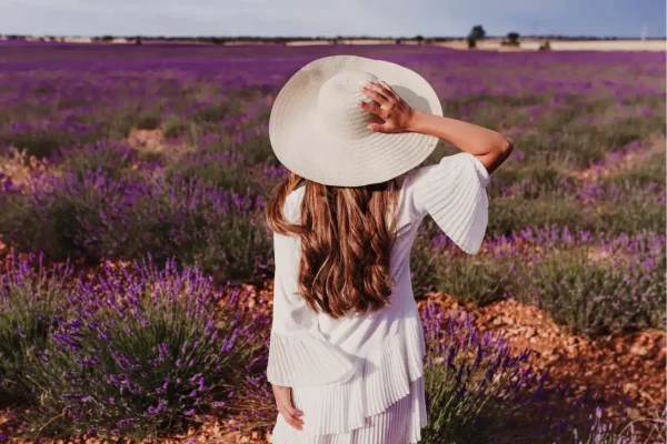 Yanchep Lavender Farm