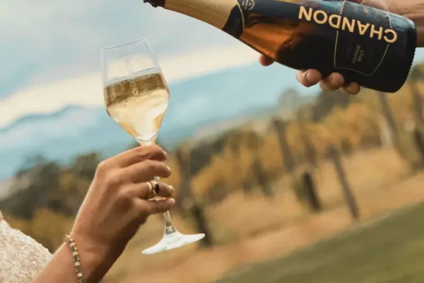 Yarra Valley Wine Tour