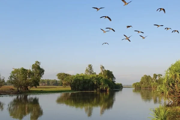 Yellow Water Billabong