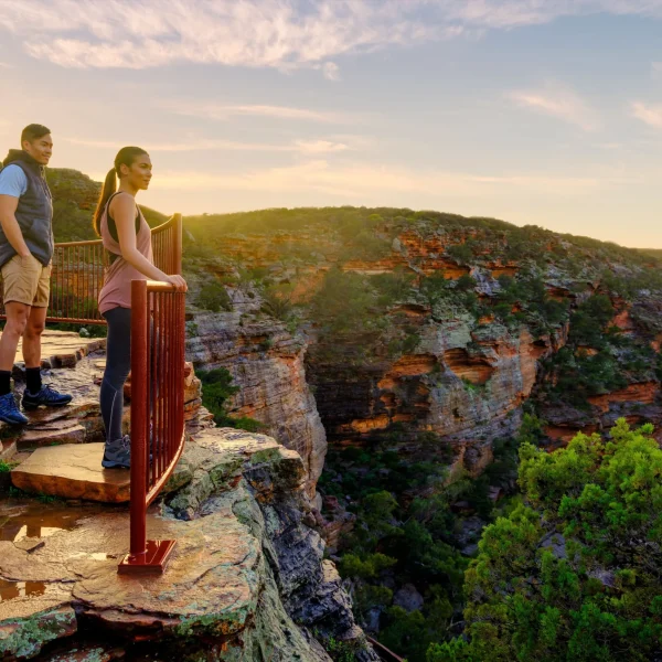 ningaloo reef tours