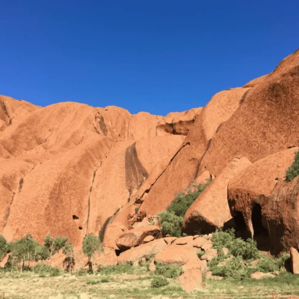 alice spring to uluru tour