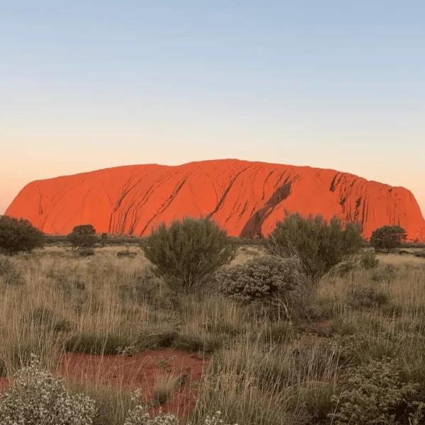 alice springs ayers rock tour