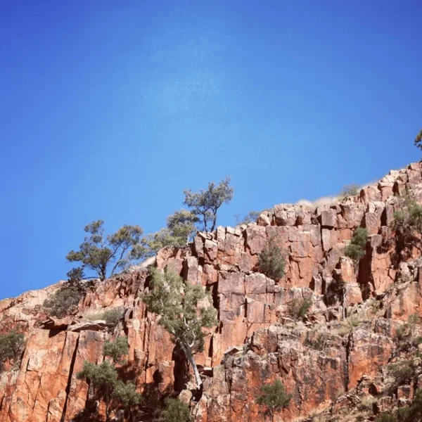 alice springs half day tours