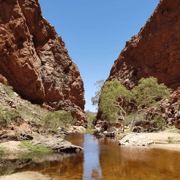 alice springs to uluru day tour