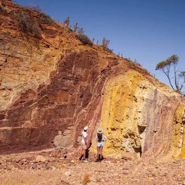 west macdonnell ranges half-day tour