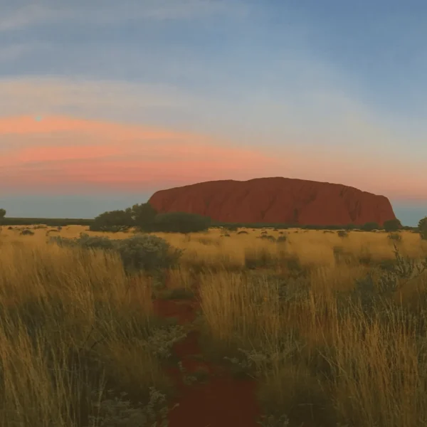 alice springs tours