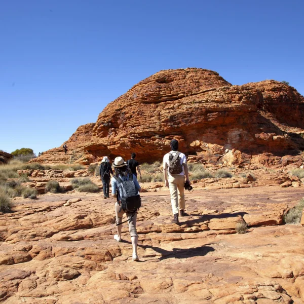 trips uluru