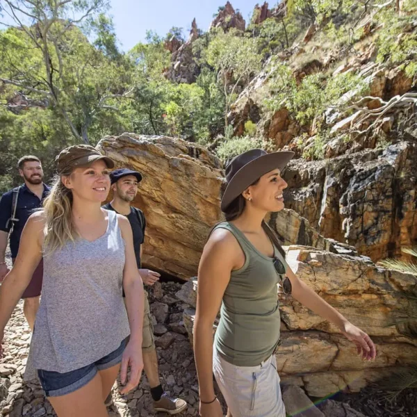 day tours alice springs