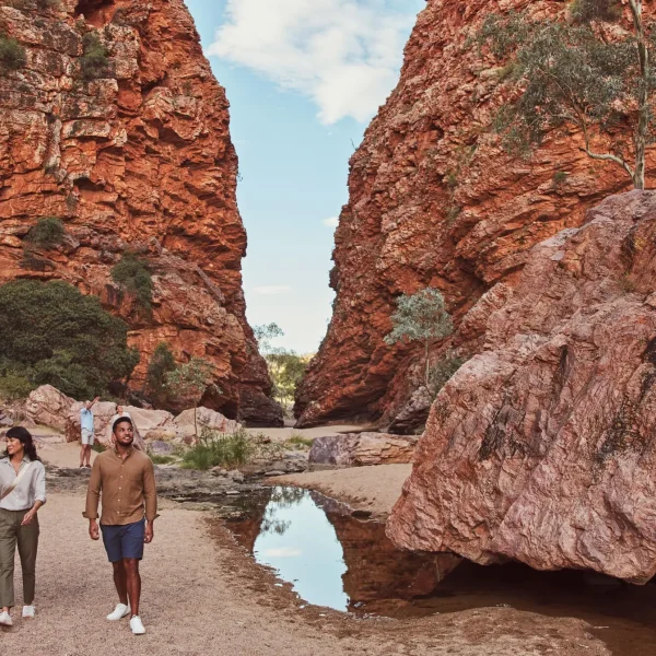 tours alice springs