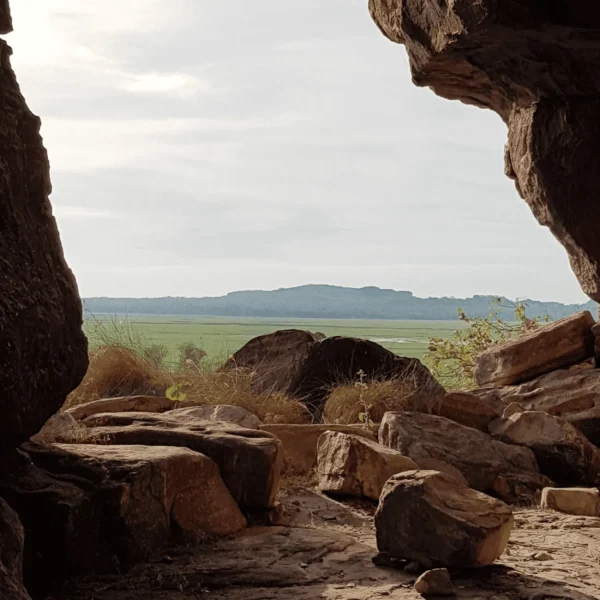 best 1 day kakadu tours from darwin