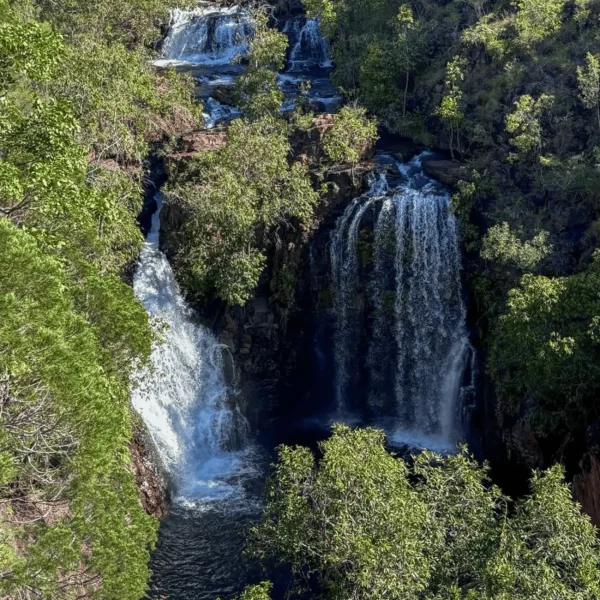 best litchfield national park tours