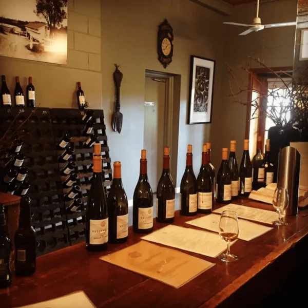 best wine tours melbourne