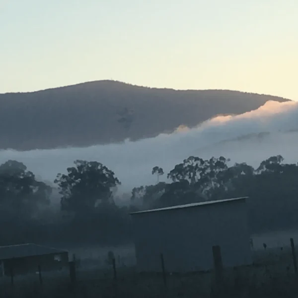 best winery tour yarra valley