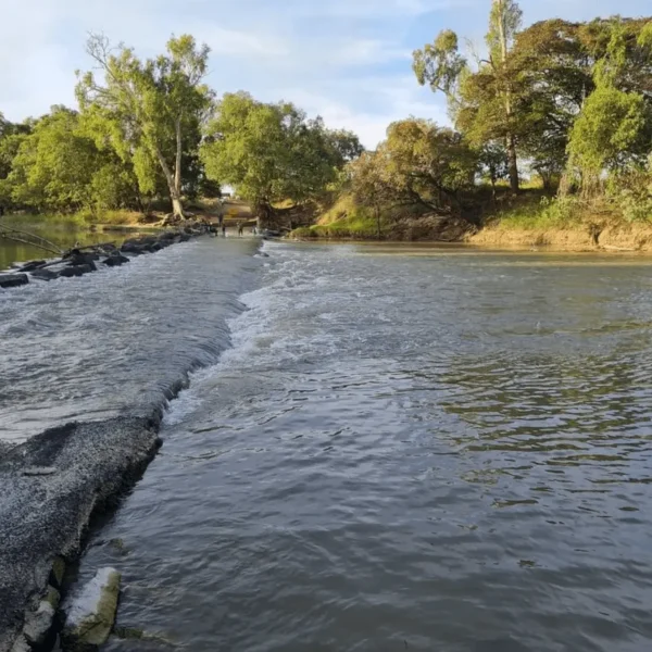 cahills crossing tides