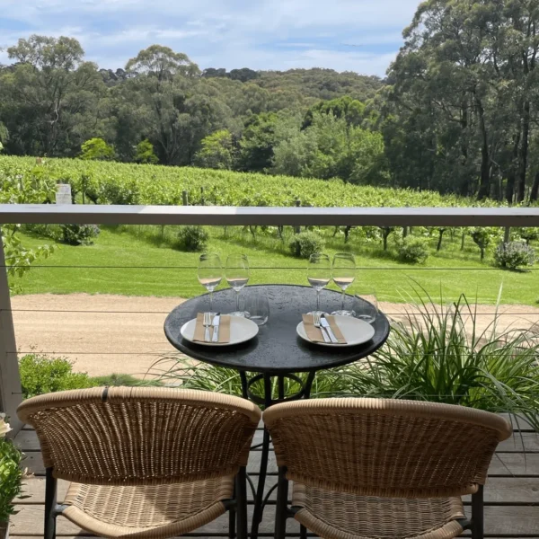 cheap yarra valley winery tours