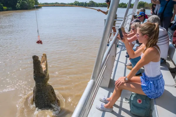 darwin crocodile tour