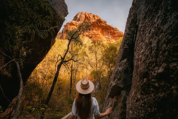 darwin day trips to kakadu