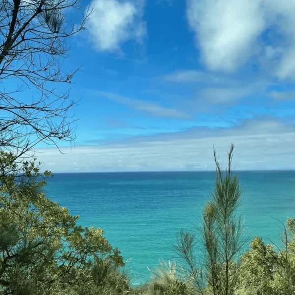 day tours from melbourne