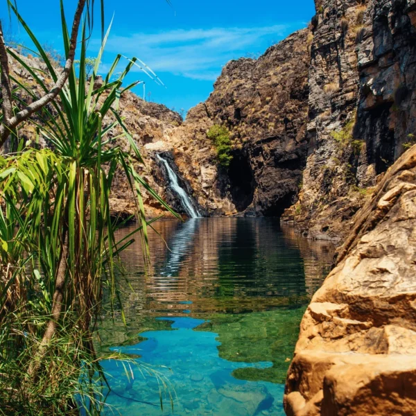 day tours kakadu from darwin