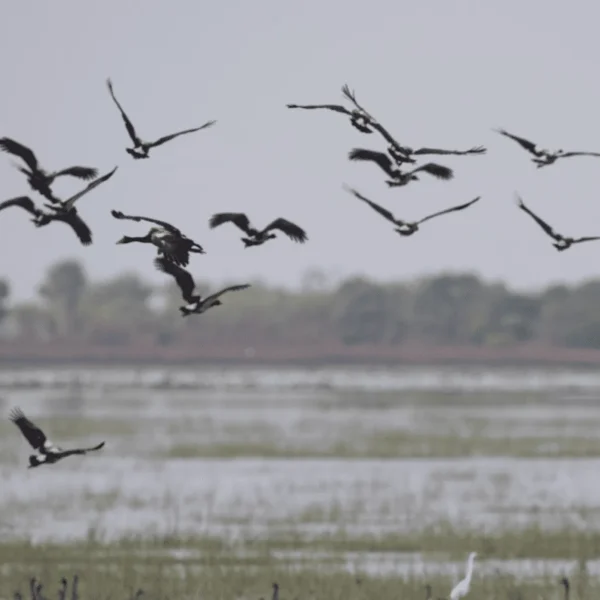 day trips from kakadu national park