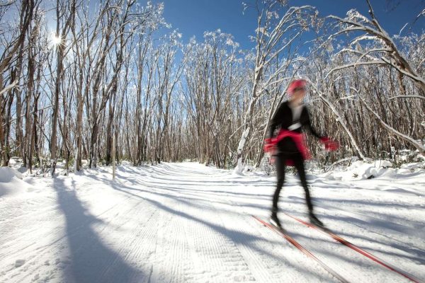 day trips to the snow