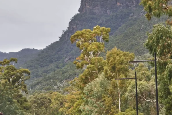 easy walks in the Grampians
