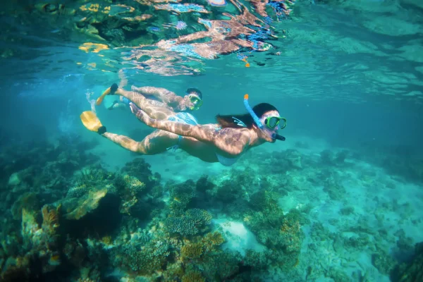 eco tours coral bay