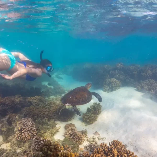 eco tours coral bay