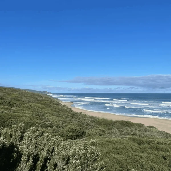 great ocean road private tour