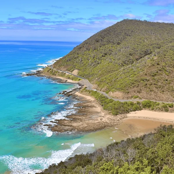 great ocean road tour 1 day