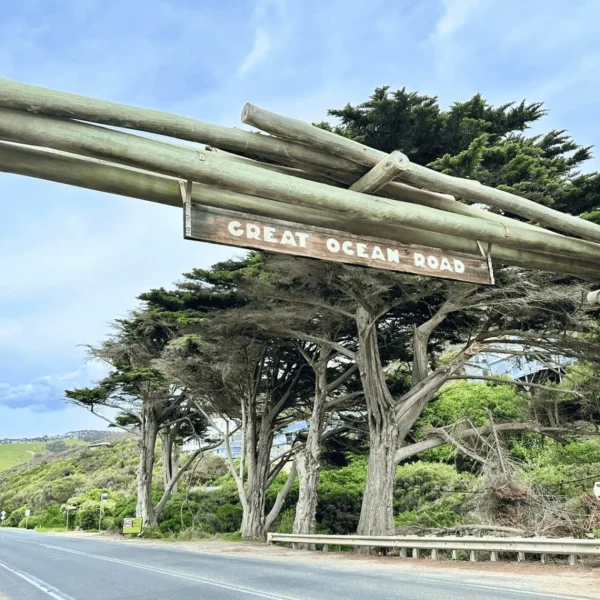 great ocean tour melbourne