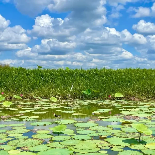 kakadu 3 day tours