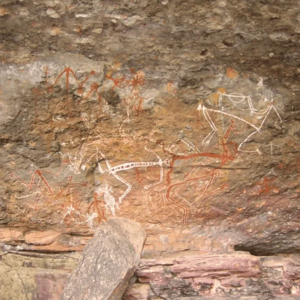 kakadu day tour