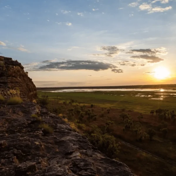 kakadu day tour from darwin