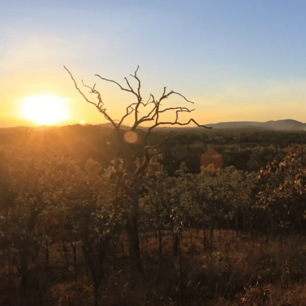 kakadu day trip
