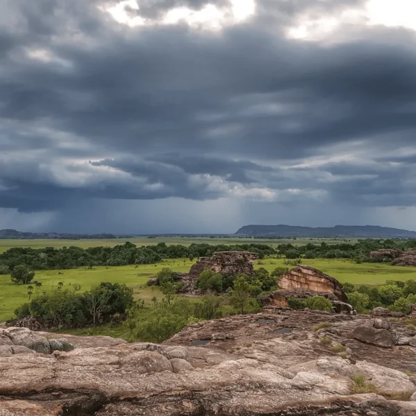 kakadu day trip from darwin
