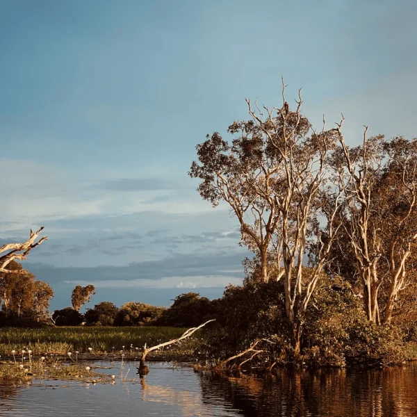 kakadu family tours