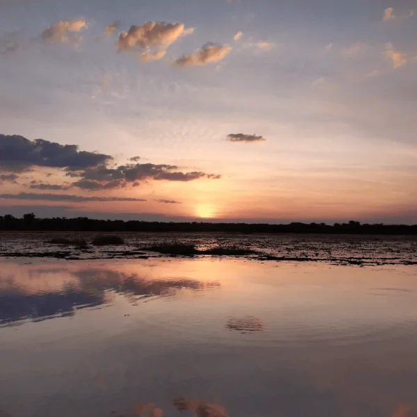 kakadu national park day tour