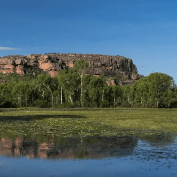 kakadu national park day tours