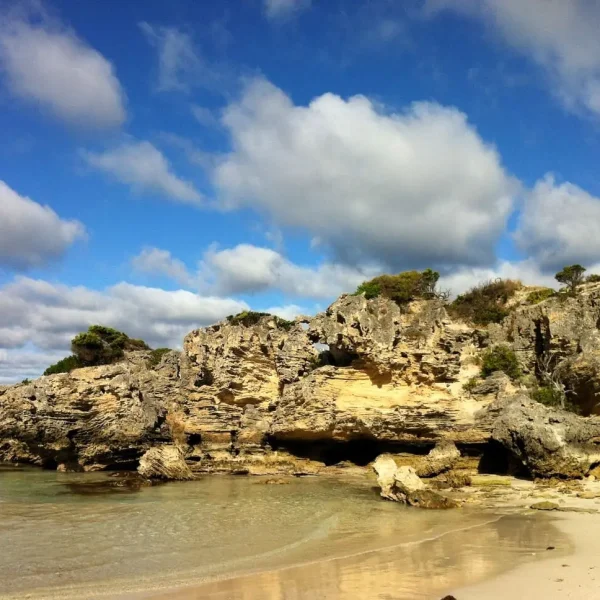 kangaroo island 3 day tour price