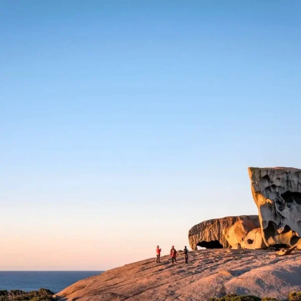 kangaroo island tours from adelaide