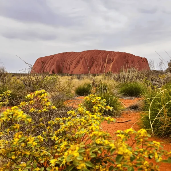 kata tjuta small group tours