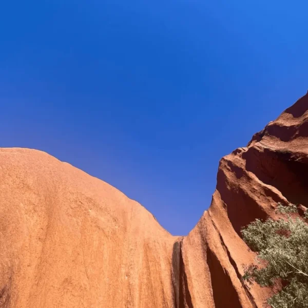 kata tjuta tour from uluru
