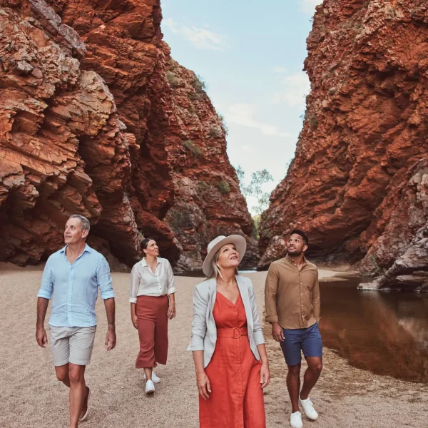 kings canyon and outback panoramas tour