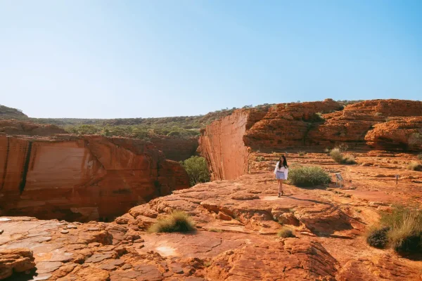 kings canyon and outback panoramas tour
