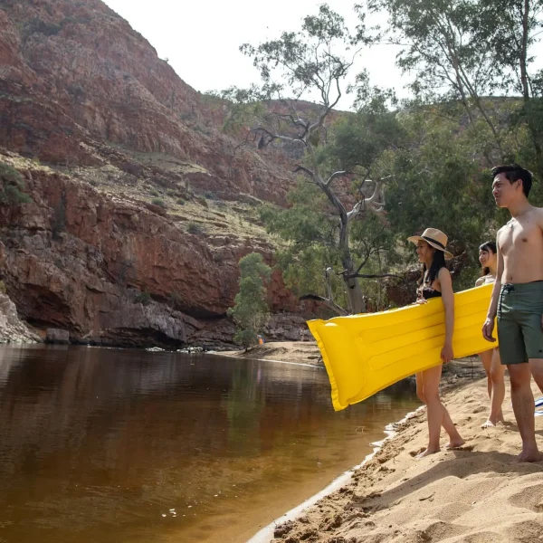 kings canyon rim walk tour